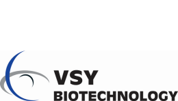 vsy-logo
